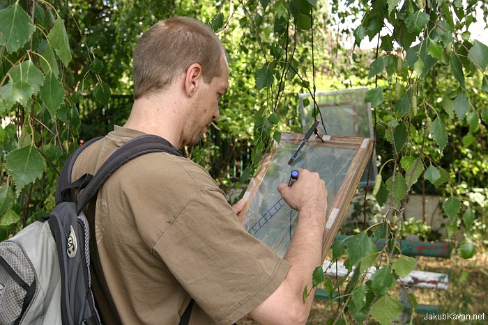 Site-specific Karlin