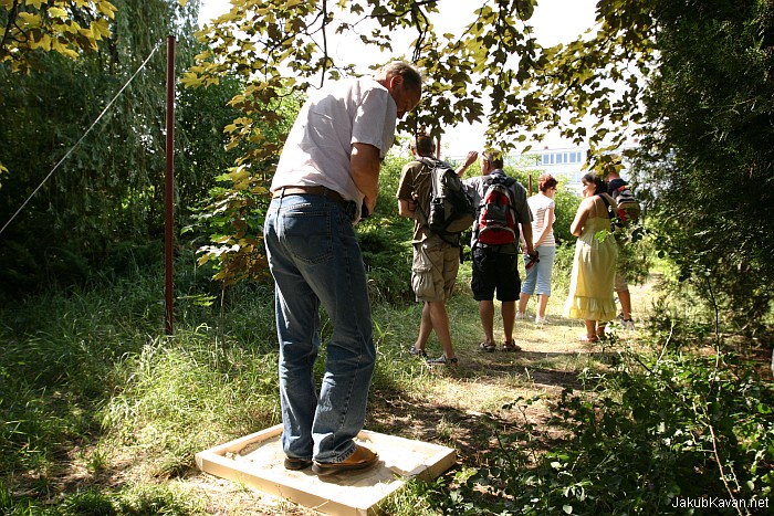 Site-specific Karlin