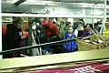 Noc divadel 2013 v DISKu